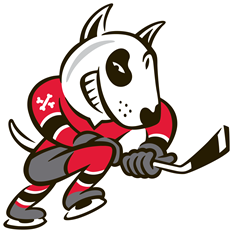 Niagara IceDogs